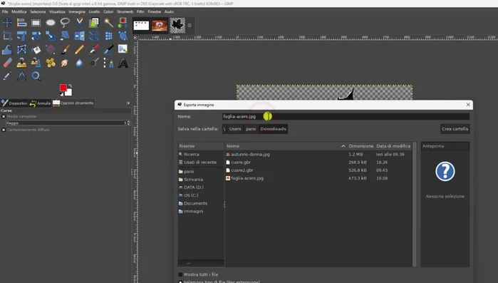 Salvare l'immagine in formato .GBR.
