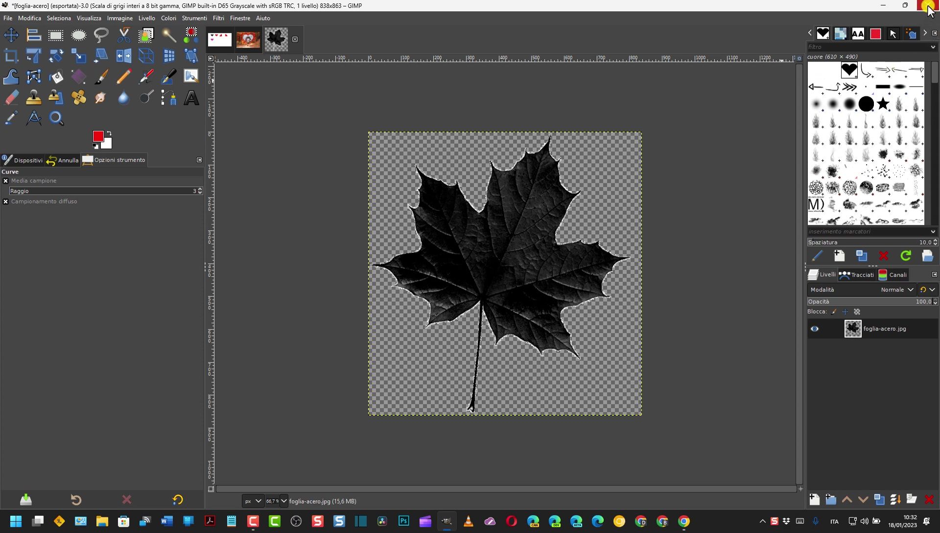 Crea Pennelli Personalizzati in GIMP: Guida Completa per Cuori e Foglie