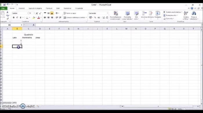 Calcola il perimetro (Lato * 4) e l'area (Lato^2). Utilizza la funzione di trascinamento per applicare la formula a tutte le celle.
