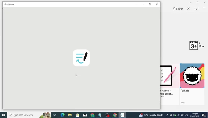 Accetta i termini di servizio e inizia ad utilizzare GoodNotes.