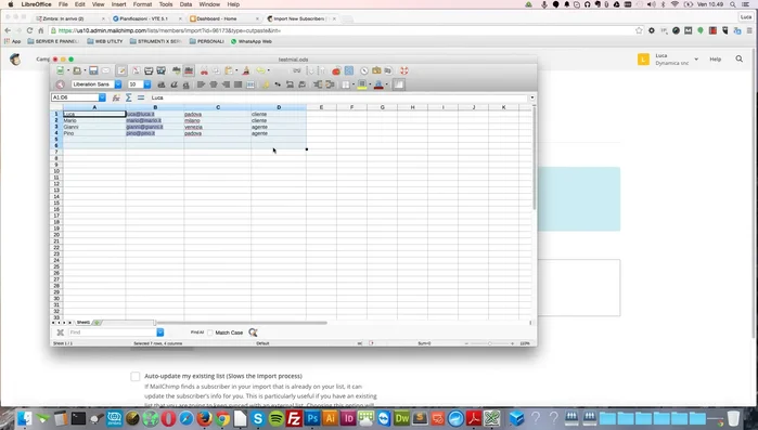 Creare nuove colonne in Mailchimp se necessario.