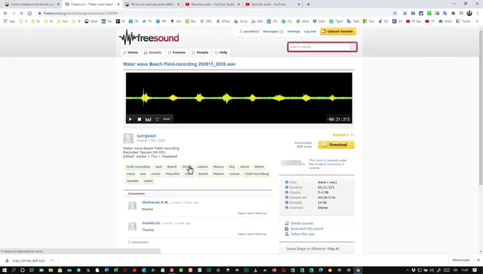 Scarica l'effetto in formato .wav.