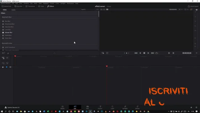 Importa il video e l'effetto sonoro desiderato.