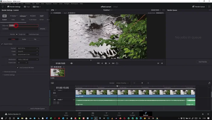 Esporta il progetto.