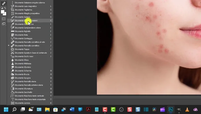 Selezionare lo strumento 'Pennello correttivo'.