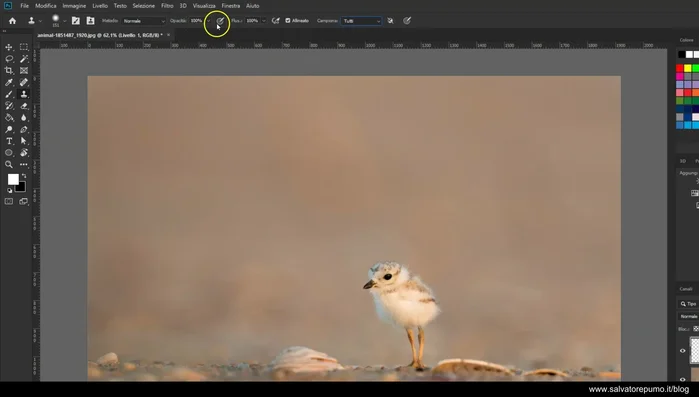 Aggiustare la durezza del pennello per una maggiore precisione o sfumatura (100% per precisione, 25-35% per sfumature).