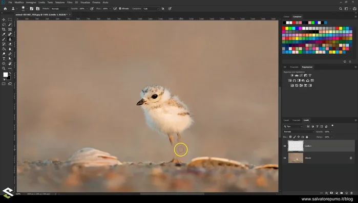 Aggiustare la durezza del pennello per una maggiore precisione o sfumatura (100% per precisione, 25-35% per sfumature).