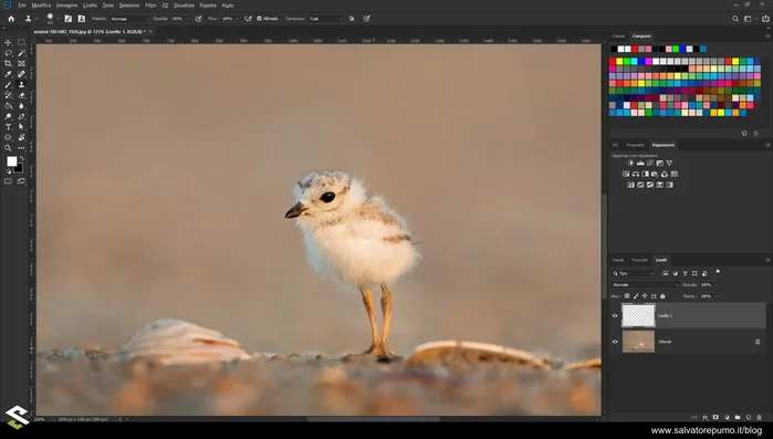 Tenere premuto Alt e cliccare sulla zona da clonare per campionare i pixel.