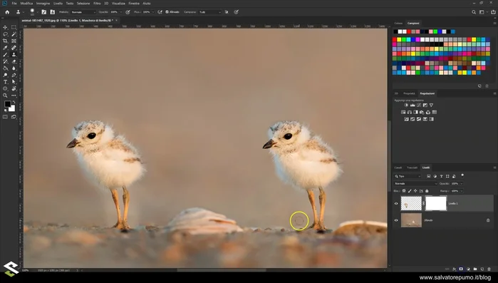 Utilizzare una maschera di livello per una maggiore precisione nella clonazione, nascondendo le parti non perfette.