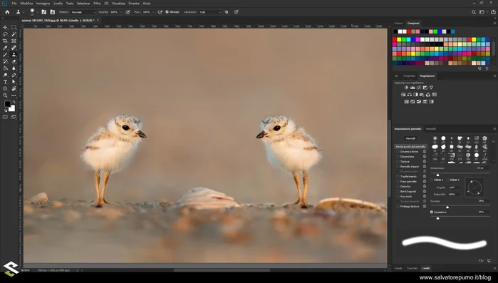 Creare più timbri clone con diverse impostazioni (dimensione, riflessione, inclinazione) per una maggiore efficienza.