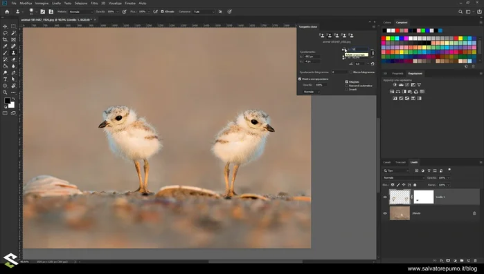 Creare più timbri clone con diverse impostazioni (dimensione, riflessione, inclinazione) per una maggiore efficienza.
