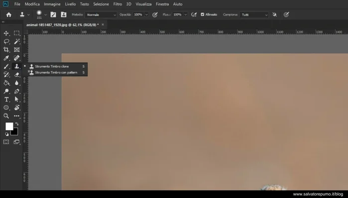 Tenere premuto Alt e cliccare sulla zona da clonare per campionare i pixel.