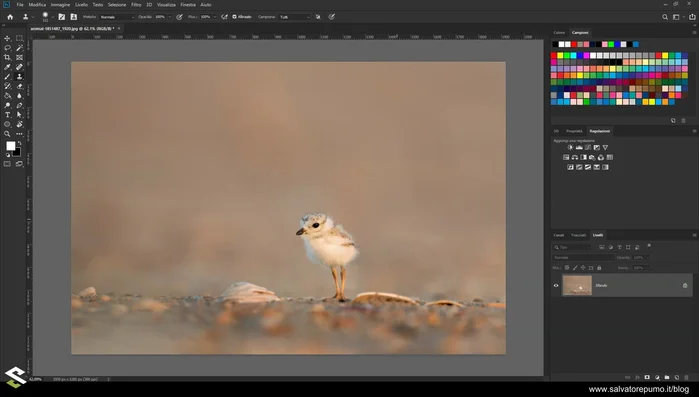 Creare un nuovo livello per la clonazione (per un migliore controllo).