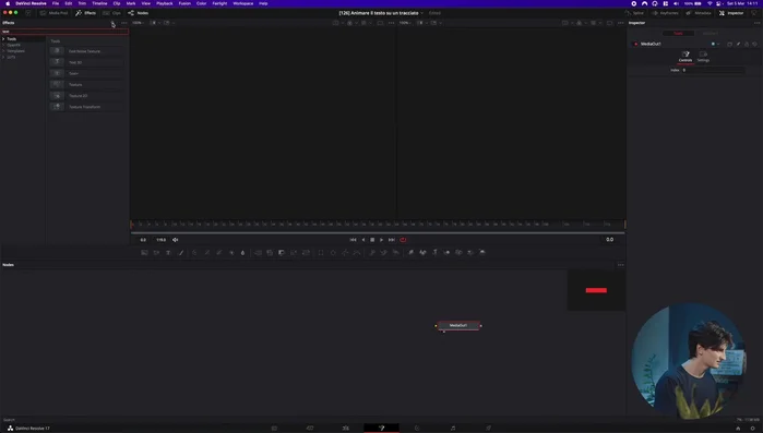 Scrivere il testo desiderato nell'inspector.