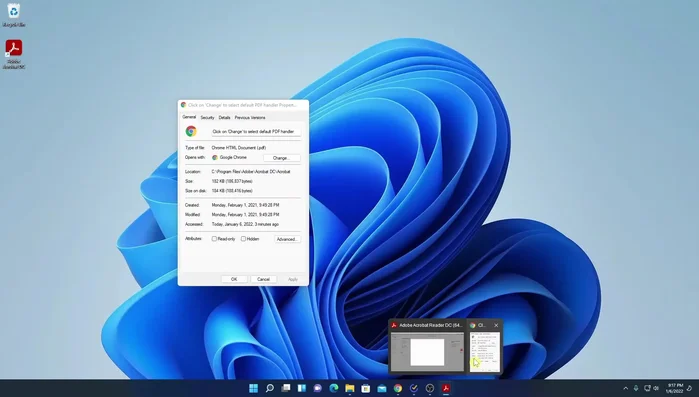 Impostare Adobe Acrobat Reader DC come visualizzatore PDF predefinito (se richiesto).