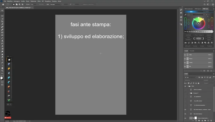 Sviluppo e Elaborazione del RAW