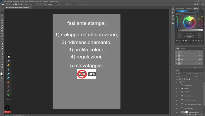 Conversione del profilo colore (se necessario) e salvataggio finale in JPEG