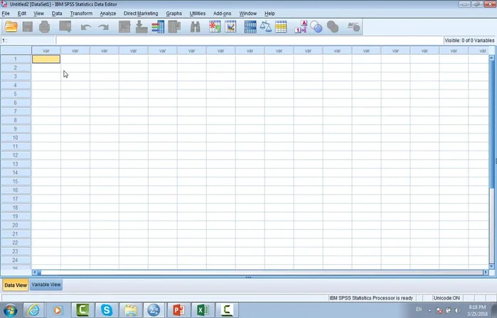 Inserire i dati manualmente nella visualizzazione dati (foglio di calcolo).