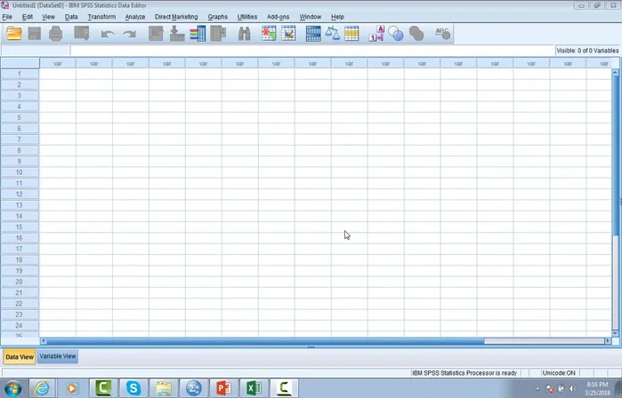 Aprire un nuovo file di dati in SPSS.