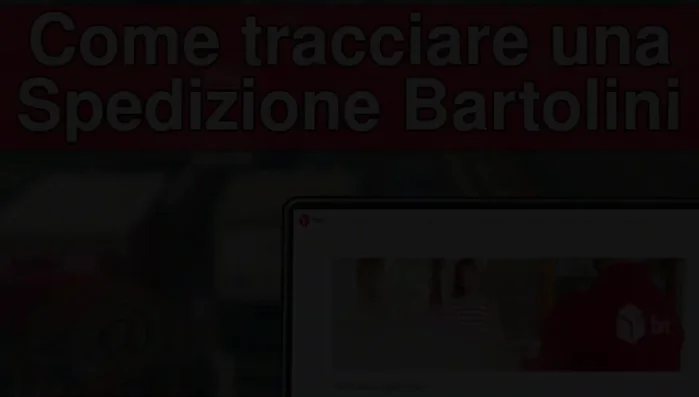 Accedi alla pagina di tracciamento Bartolini (link nella descrizione).