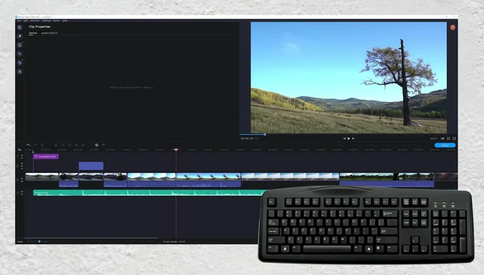 Taglia e incolla sezioni di video: usa Ctrl+X per tagliare, posiziona il cursore e usa Ctrl+V per incollare.