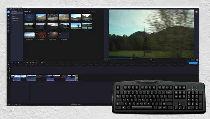 Avvia/arresta la riproduzione: premi la barra spaziatrice.