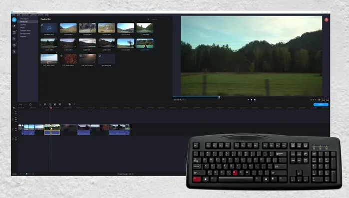 Avvia/arresta la riproduzione: premi la barra spaziatrice.