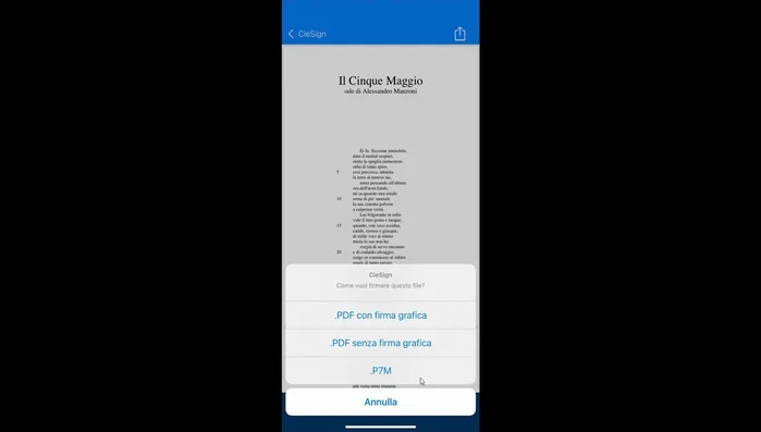 Inserire le ultime quattro cifre del PIN.