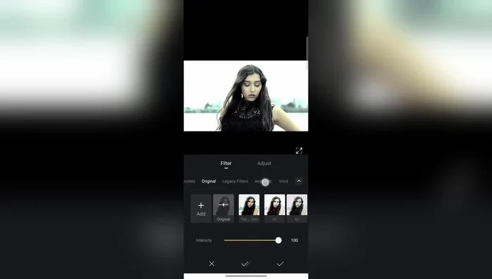 Sfogliare le diverse categorie di filtri (Legacy, Estetici, ecc.) e selezionare quello desiderato. L'anteprima del filtro viene visualizzata in tempo reale.