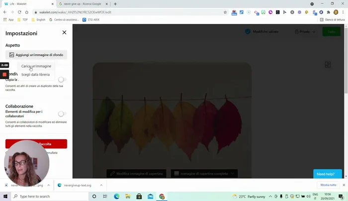 Personalizzazione dello sfondo. Aggiungere un'immagine di sfondo per migliorare l'aspetto visivo (consigliato uno sfondo bianco per una migliore leggibilità).