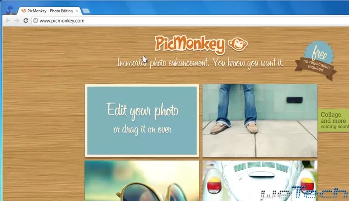 Scegli tra modificare una foto di PikMonkey o caricare la tua.