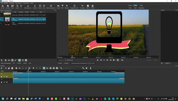 Utilizzare gli strumenti di ridimensionamento e posizionamento per adattare la filigrana al video.
