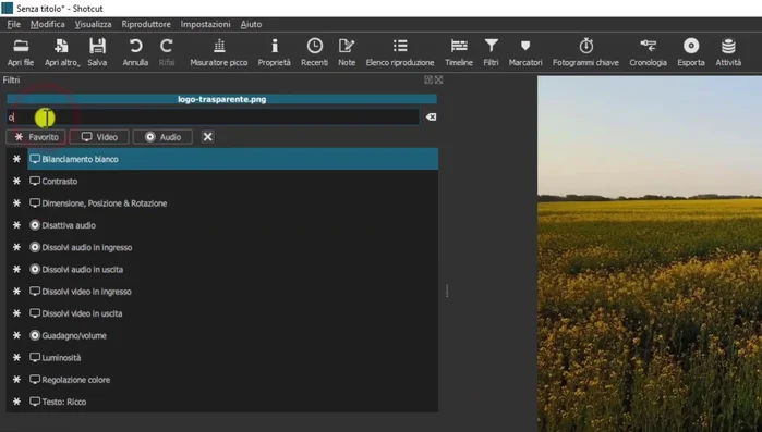 Esportare il video con la filigrana applicata.