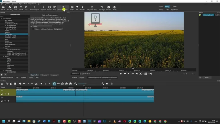 Applicare il filtro "Rimozione macchia" a ciascuna clip, utilizzando le aree circostanti per riempire le zone dove era presente la filigrana.