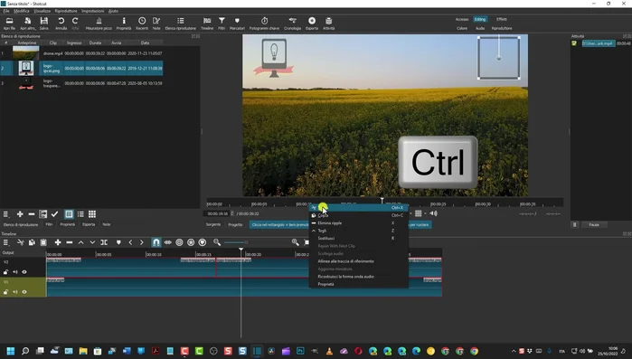 Applicare il filtro "Rimozione macchia" a ciascuna clip, utilizzando le aree circostanti per riempire le zone dove era presente la filigrana.