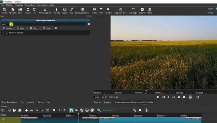 Applicare il filtro "Rimozione macchia" a ciascuna clip, utilizzando le aree circostanti per riempire le zone dove era presente la filigrana.