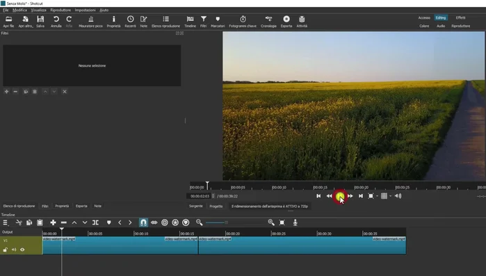 Esportare il video senza filigrana.