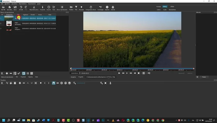 Utilizzare gli strumenti di ridimensionamento e posizionamento per adattare la filigrana al video.