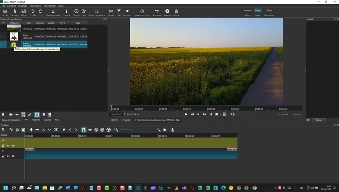 Utilizzare gli strumenti di ridimensionamento e posizionamento per adattare la filigrana al video.
