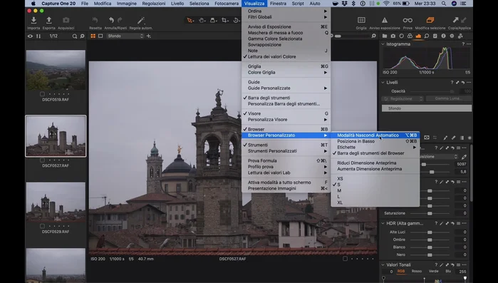 Per massimizzare lo spazio dell'immagine, in "Visualizza" > "Browser personalizzato", seleziona "Modalità Nascondi Automatico".