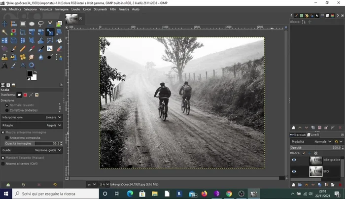 Duplicare il livello dell'immagine e rinominare i livelli in "Sfondo" e "Sfondo copia".