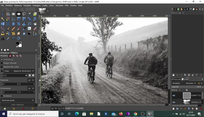 Riempire il tracciato con il colore bianco.