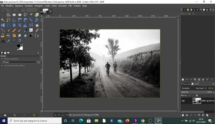 Ridimensionare l'immagine ingrandendola proporzionalmente (circa il doppio).