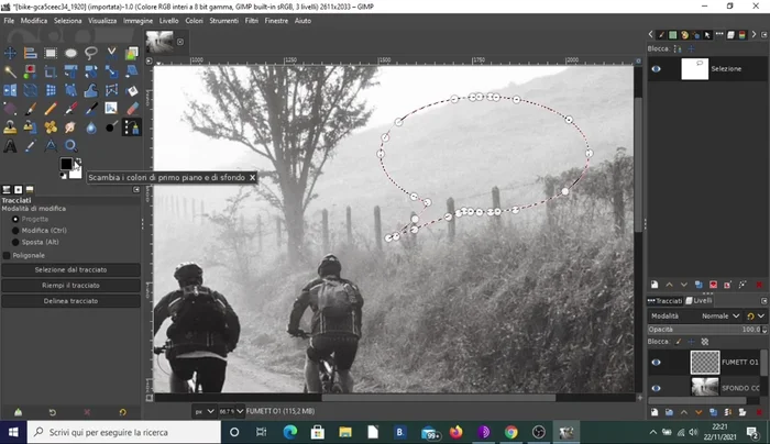 Riempire il tracciato con il colore bianco.