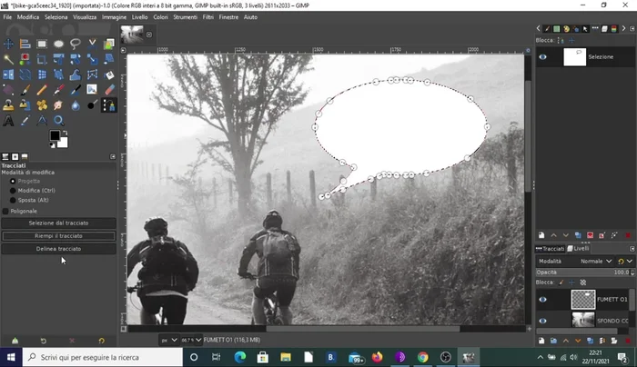 Aggiungere il testo al fumetto usando lo strumento testo.