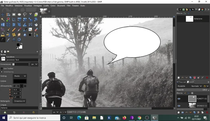 Aggiungere il testo al fumetto usando lo strumento testo.