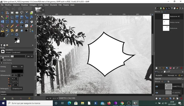 Aggiungere il testo al secondo fumetto.