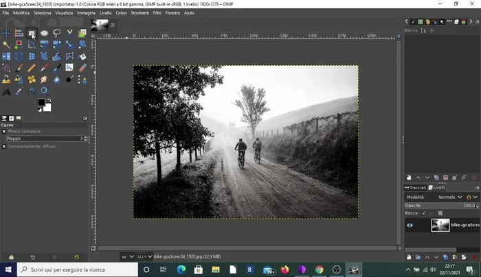 Ridimensionare l'immagine ingrandendola proporzionalmente (circa il doppio).