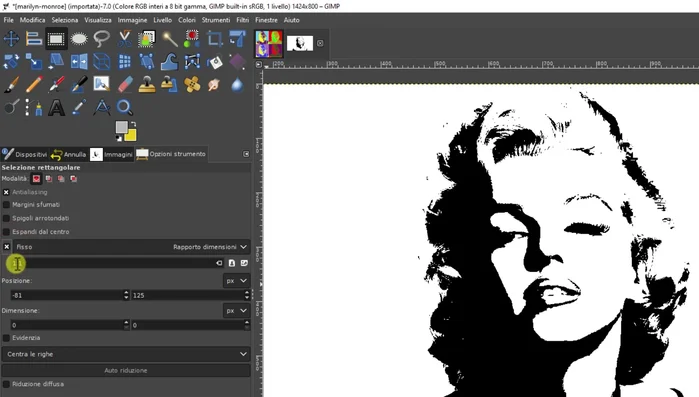 Rendi l'immagine quadrata usando lo strumento 'Selezione rettangolare' con l'opzione 'Dimensioni fisse' impostata su 800x800 pixel.