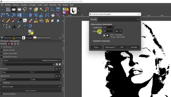 Crea un nuovo documento GIMP di 800x800 pixel con sfondo bianco. Copia e incolla l'immagine di Marilyn Monroe nel nuovo documento.